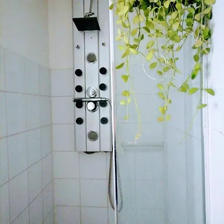 Apartman Attique