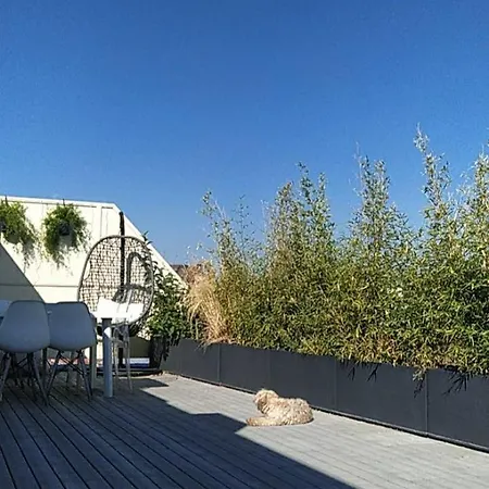Apartament Attique